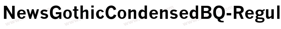 NewsGothicCondensedBQ-Regular字体转换