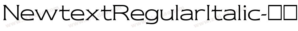 NewtextRegularItalic字体转换
