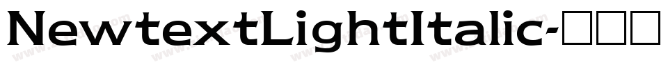 NewtextLightItalic字体转换
