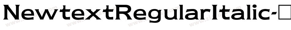 NewtextRegularItalic字体转换