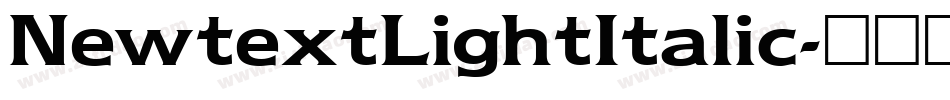 NewtextLightItalic字体转换