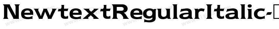 NewtextRegularItalic字体转换