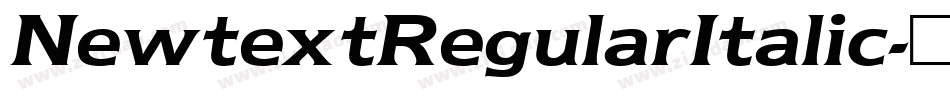 NewtextRegularItalic字体转换