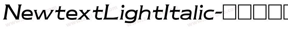 NewtextLightItalic字体转换