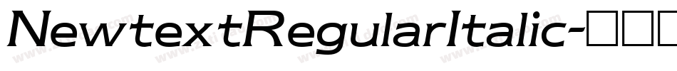NewtextRegularItalic字体转换