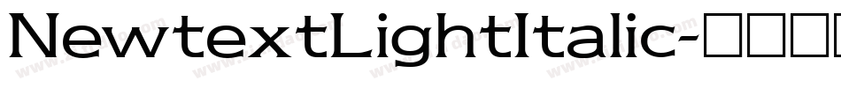 NewtextLightItalic字体转换