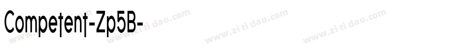 Competent-Zp5B字体转换