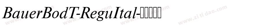 BauerBodT-ReguItal字体转换
