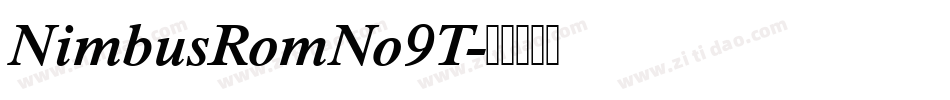NimbusRomNo9T字体转换