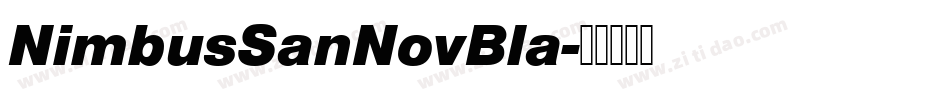 NimbusSanNovBla字体转换