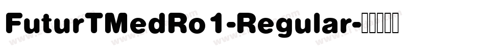 FuturTMedRo1-Regular字体转换
