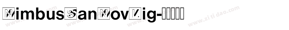 NimbusSanNovLig字体转换