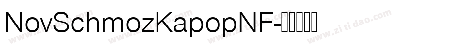 NovSchmozKapopNF字体转换 NovSchmozKapopNF字体转换
