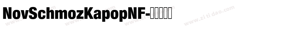 NovSchmozKapopNF字体转换 NovSchmozKapopNF字体转换