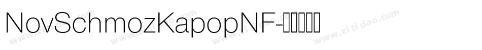 NovSchmozKapopNF字体转换 NovSchmozKapopNF字体转换