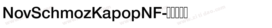 NovSchmozKapopNF字体转换 NovSchmozKapopNF字体转换