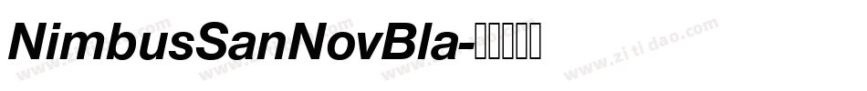 NimbusSanNovBla字体转换