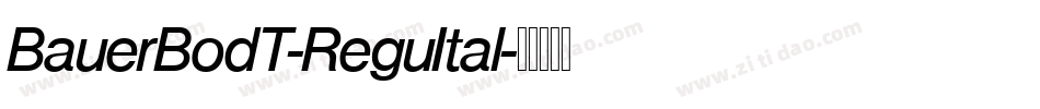 BauerBodT-ReguItal字体转换