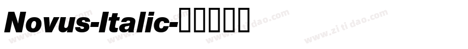Novus-Italic字体转换