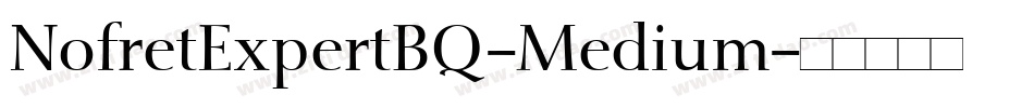 NofretExpertBQ-Medium字体转换