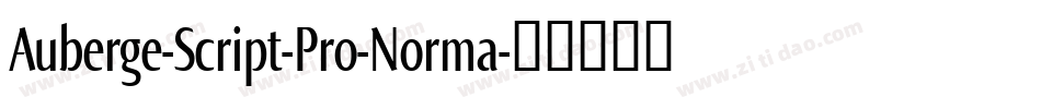 Auberge-Script-Pro-Norma字体转换