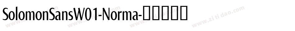 SolomonSansW01-Norma字体转换