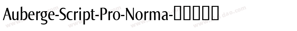 Auberge-Script-Pro-Norma字体转换