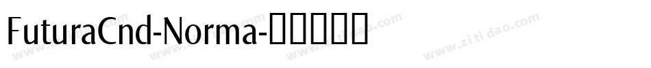 FuturaCnd-Norma字体转换