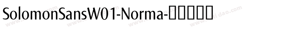 SolomonSansW01-Norma字体转换