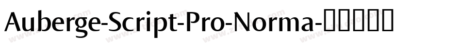 Auberge-Script-Pro-Norma字体转换