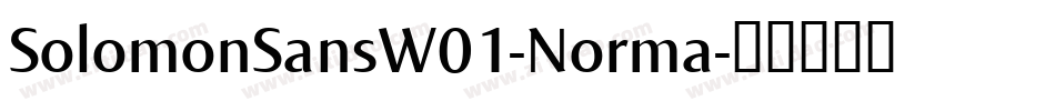 SolomonSansW01-Norma字体转换