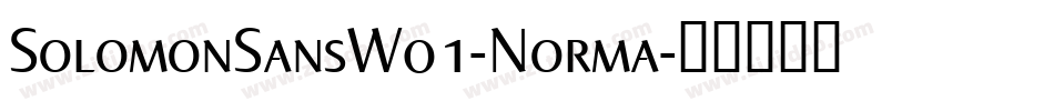 SolomonSansW01-Norma字体转换