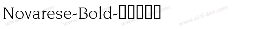Novarese-Bold字体转换
