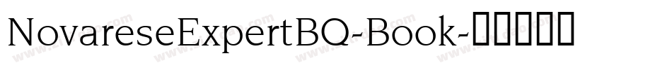 NovareseExpertBQ-Book字体转换