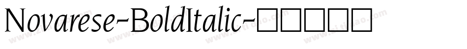 Novarese-BoldItalic字体转换