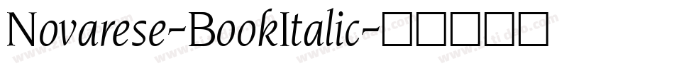 Novarese-BookItalic字体转换