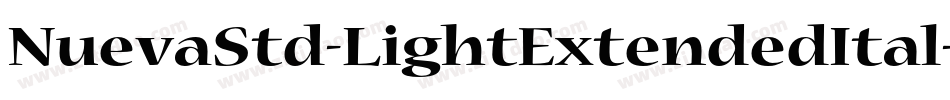 NuevaStd-LightExtendedItal字体转换
