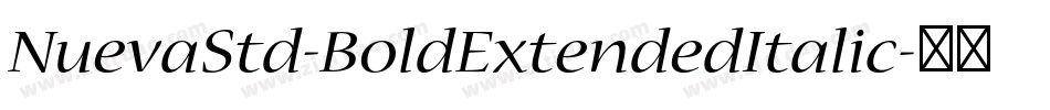 NuevaStd-BoldExtendedItalic字体转换