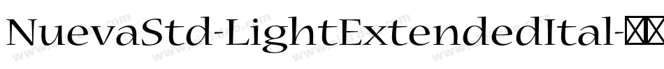 NuevaStd-LightExtendedItal字体转换