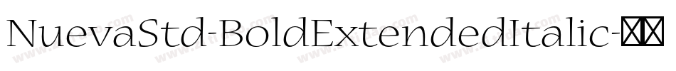 NuevaStd-BoldExtendedItalic字体转换