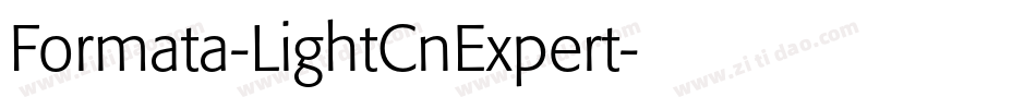 Formata-LightCnExpert字体转换