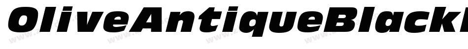 OliveAntiqueBlackExtItalic字体转换