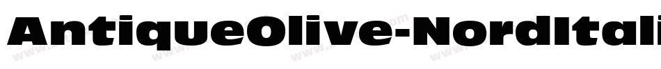 AntiqueOlive-NordItalic字体转换