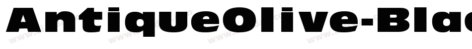 AntiqueOlive-Black字体转换