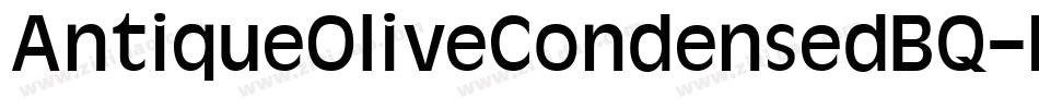 AntiqueOliveCondensedBQ-Regular字体转换