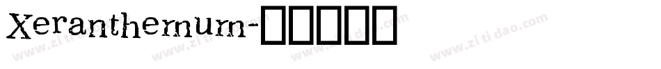 Xeranthemum字体转换