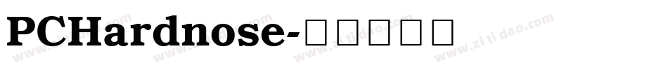 PCHardnose字体转换