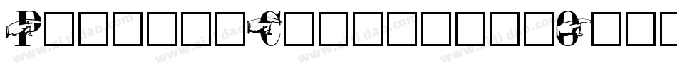 PointerCondensedOblique-lRrw字体转换