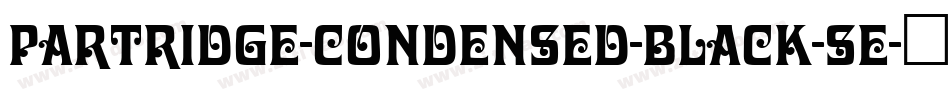 Partridge-Condensed-Black-Se字体转换