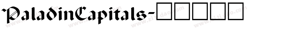 PaladinCapitals字体转换